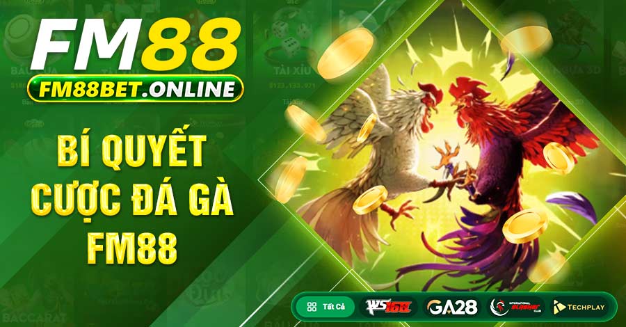Chuyên mục đá gà FM88 bí quyết và hình thức cược mới Chuyên mục đá gà FM88 bí quyết và hình thức cược mới