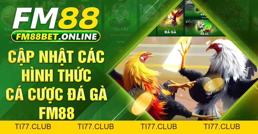 Chuyên mục đá gà FM88 bí quyết và hình thức cược mới Chuyên mục đá gà FM88 bí quyết và hình thức cược mới